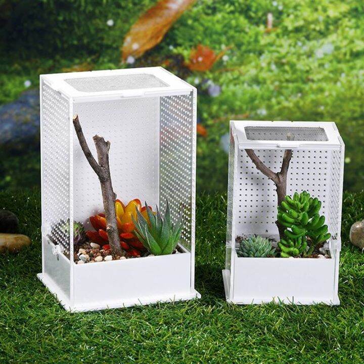 {BONBON Home Storage} 1pc Mantis Feeding Insect Breeding Box Acrylic ...