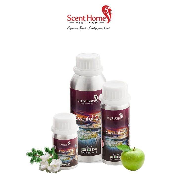 Tinh dầu Scent Homes mùi hương (Wishing Wizard) Lazada.vn