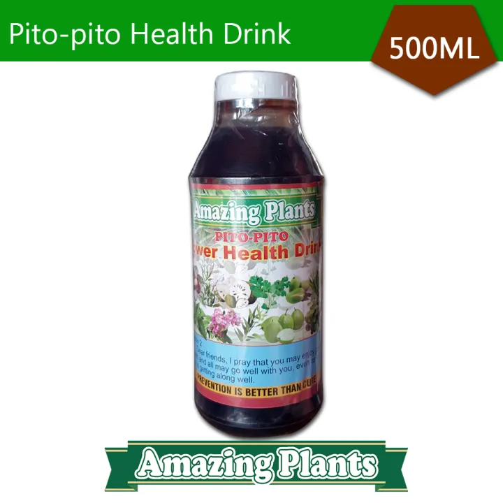 Palo De Pito And Your Health Unexpected Connections - onbuktm