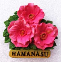 ✆℗ Simulation Japan Hokkaido Rose Himeji City 3D Fridge Magnets Travel Souvenirs Refrigerator Magnetic Stickers Home Decortion