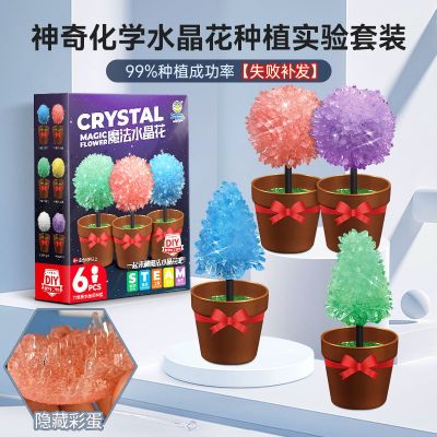 planting growth crystal steam science experiment set diy handmade childrens chemistry toys