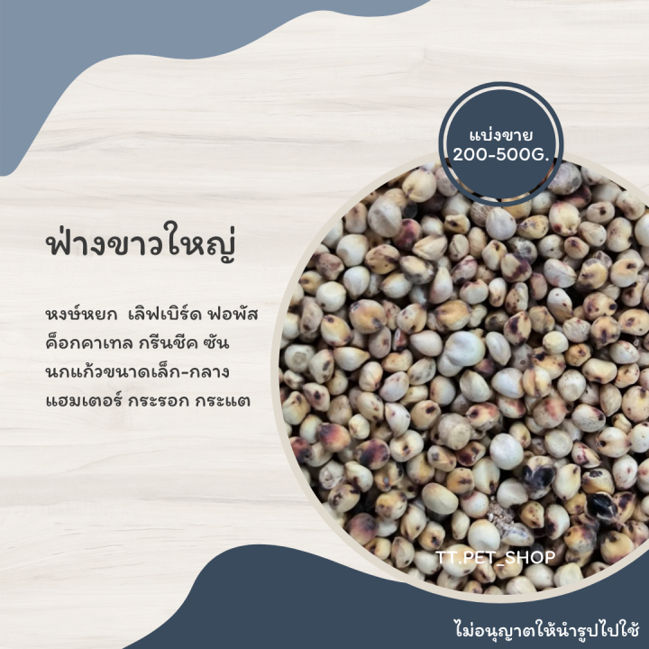 ฟ่างใหญ่-ขาว-แดง-แบ่งขาย-200-500g-อาหารนกแก้วฟอพัส-เลิฟเบิร์ด-ค็อกคาเทล-กรีนชีค