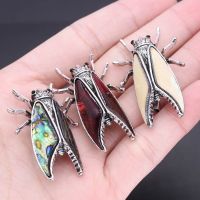 Insect Cicada Pin Fashion Natural Shell Bugs Beetle Brooches Pendant for Jewelry Women Brooch Pins Scarf Bag Clip Accessories Headbands