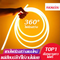 ไฟเส้น led Neon flex 220V LED ไฟเส้น LED Neon Flex ประดับตกแต่งติดตั้งได้ทั้งในและนอกอาคาร ทนแดด ทนฝน ยาว 5 เมตร  แถมฟรีหัวปลั๊กเสียบไฟบ้า