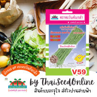 ADVOP ซฟ เมล็ดพันธุ์ ถั่วฝักยาว มังกรหยก เบอร์ 9 ตราตะวันต้นกล้า V59