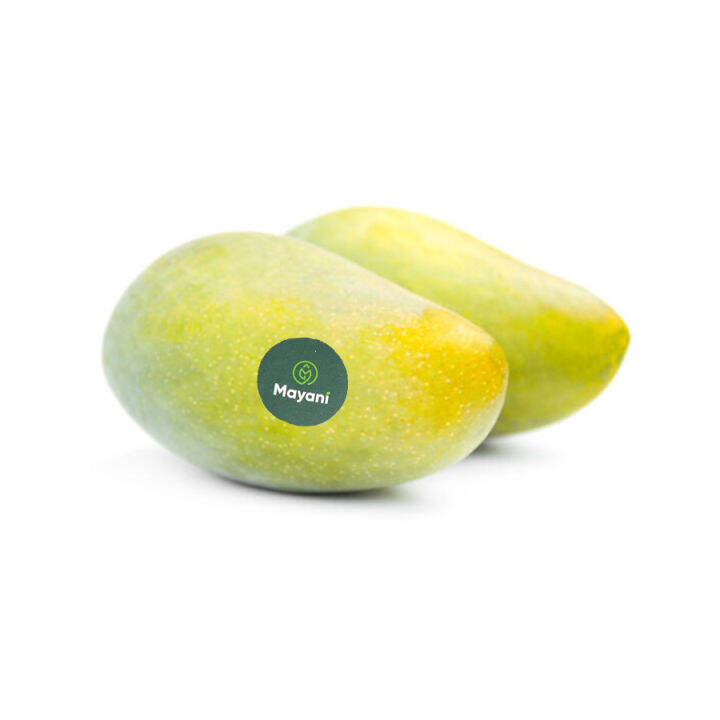 Carabao Mangoes [Unripe] (400500g) by Mayani Lazada PH