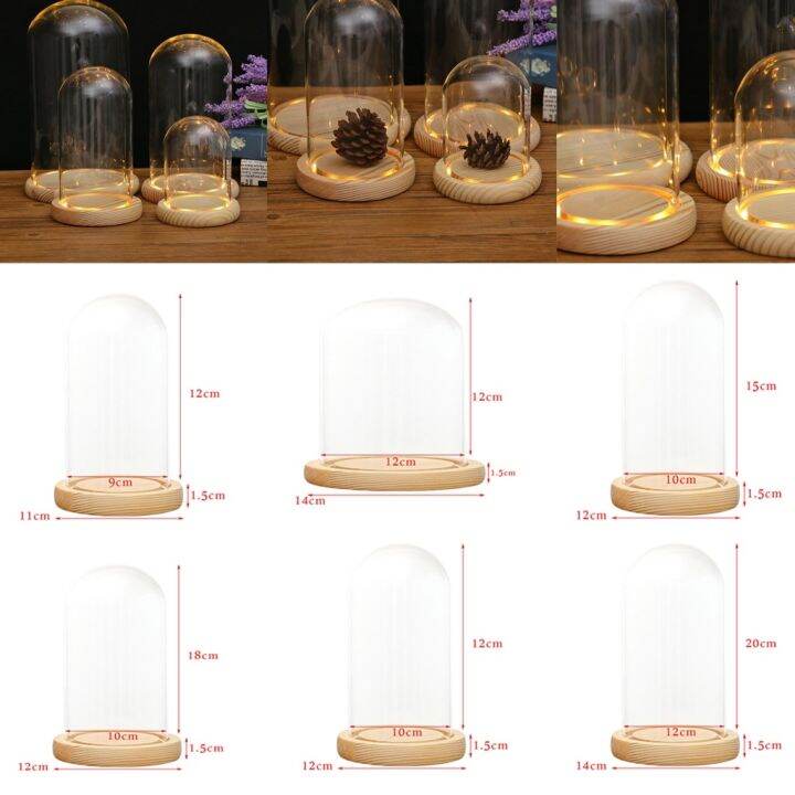 simplelove-clear-glass-display-dome-with-wooden-base-display-dry-flower-plant