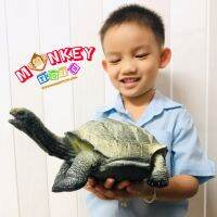 Monkey Toys - โมเดลสัตว์ Galapagos เต่า บก เขียว ขนาด 33.00 CM แบบนิ่ม (จากหาดใหญ่)