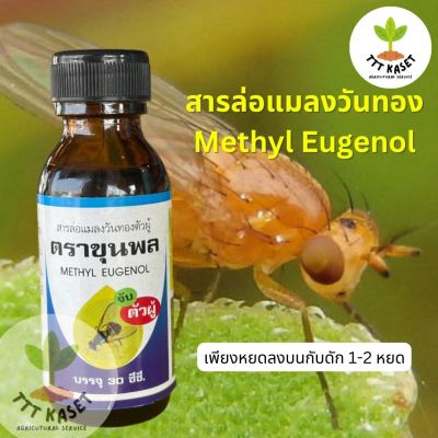 สารล่อแมลงวันทอง Methyl Eugenol  ตราขุนพล