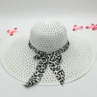 Beach Hats Women Beach Straw Hats