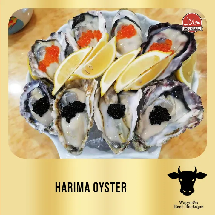 [WagyuGiza Malaysia] Sashimi Grade Seafood / Sashimi Oyster Harima