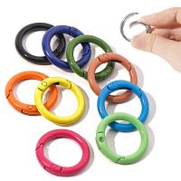 10pcs Sweet Style Style Metal Baking Paint Colorful Rclip Spring Buckle Girls Cute Keychain DIY Handmade Crafts Accessories