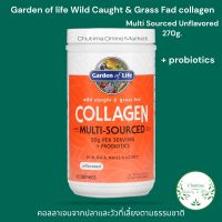 Garden of Life Wild Caught &amp; Grass Fed Collagen Multi-Sourced Unflavored 270g. คอลลาเจนจากปลาและวัวที่เลี้ยงตามธรรมชาติ