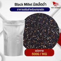 Black Millet มิลเล็ตดำ อาหารนก กระต่าย หนู กระต่าย กระรอก ชูก้า และสัตว์ฟันแทะ (แบ่งขาย 500G / 1KG)