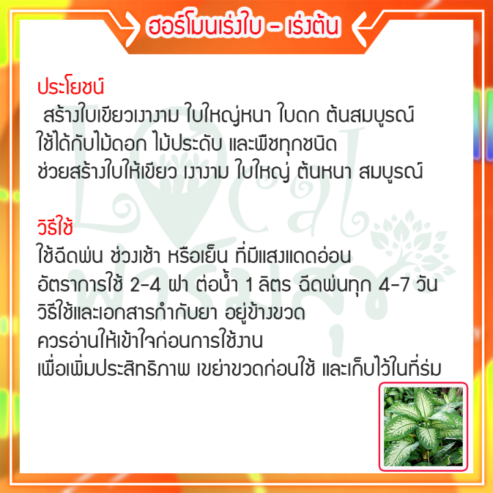 ช่องาม-srk-ชีวภาพ-ปุ๋ย-ยา-สมุนไพร-สำหรับพืชทุกชนิด-เร่งต้น-สร้างใบเขียวเงางาม-ใบใหญ่หนา-ใบดก-ต้นสมบูรณ์-ราคาถูกที่สุด-homes