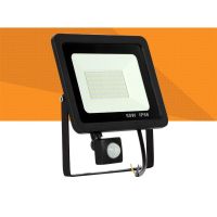 ☄ 10W 20W 30W 50W 100W Induction Led flood light With Adjustable PIR Sensor Street Garden LED floodlight Outdoor Lighting