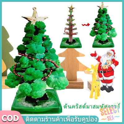 【select_sea】Magic Growing Christmas Tree ต้นคริสต์มาส ต้นไม้วิทยาศาสตร์ DIY Kid Magic Cardboard Paper Toy Gift
