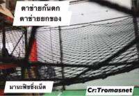 Safety Net ตาข่ายกันตก ขนาด 2x4 เมตร