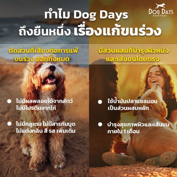 ด็อกเดย์-12kg-dog-day-exp-08-2023-สำหรับสุนัขทุกสายพันธุ์-สูตรเนื้อแกะและข้าว-dogday