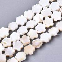 1 Strand Natural Freshwater Shell Beads Strands Flower Bisque 6x6x2mm Hole: 0.7mm