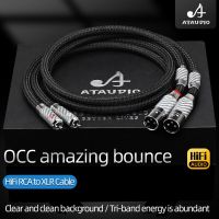 ATAUDIO HiFi 2RCA เป็น2XLR สายออดิโอ Hi-End 7N OCC Core 2RCA ตัวผู้เป็น2XLR ตัวผู้/คอนเนคเตอร์ตัวเมียสำหรับลำโพงทีวี