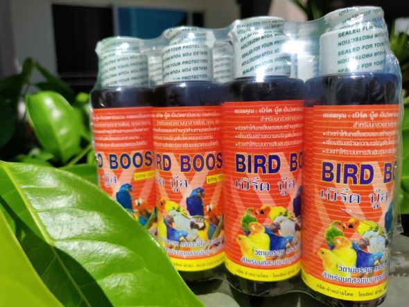 วิตามินนกทุกชนิดbird-boost-เบิร์ดบู้ส-ขนาด-100cc-สุดคุ้ม-อาหาร-นก-อาหารนกหัวจุก-อาหารนกแก้วทุกชนิด-อาหารหงส์หยก-ราคาต่อ-1-ขวด