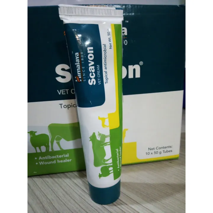 Scavon Cream Topical Antimicrobial 50g Lazada PH