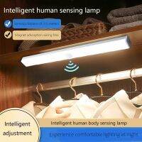 USB Led Night 25000h Use Sensor 12/22/32/52cm Lamp Cabinet Bedroom Indoor Lighting