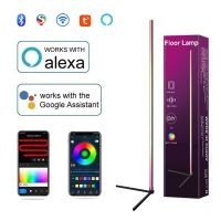 RGB Corner Floor Standing Lamp Smart Bluetooth APP Tuya WIFI Pickup Ambient Light for Indoor Bedroom Gaming Room Christmas Decor Night Lights