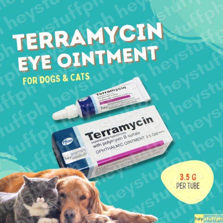 Terramycin 3.5g Ophthalmic Ointment Conjunctiva For Pets | Lazada PH