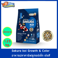 Sakura Koi สูตร Growth &amp; Color 2in1 เม็ดกลาง Size M (4MM.) ขนาด 1.25 กิโลกรัม เม็ดลอย สูตรเร่งสีเร่งโต อาหารปลาคาร์ฟ อาหารปลา อาหารปลาซากุระ ซากุระโค่ย