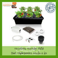 [ส่งจากไทย] DWC Hydroponics Growing System Full Kit แถม Airstone, Bucket, Air Pump, Rockwool Herb Garden Complete Hydroponic Setup (6 รู) ถังไฮโดรโปรนิกส์ DWC ถังโคลนนิ่งแบบน้ำ ติดแน่นอน