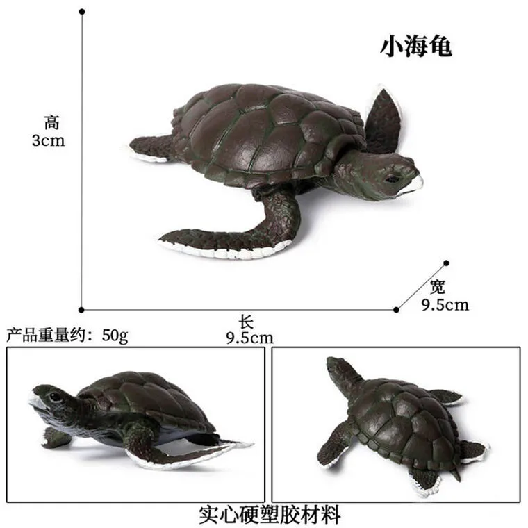 Chi tiết hơn 72 về mô hình con rùa iso