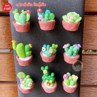 แม่เหล็กติดตู้เย็น แมคเน็ท  Cactus Magnet  สวยทุกชิ้น งานปั้นมือ ติดตู้เย็น งานน่ารัก