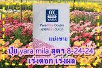 ปุ๋ย yara (YARA MILA) สูตร 8-24-24 เร่งดอก เร่งผล ขนาด 1 ก.ก.