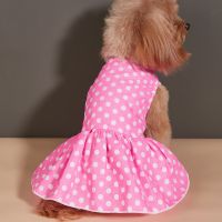 Luxury Dog Clothes Dog Plaid Dress Puppy Summer Clothes Pet Skirt Chihuahua Bulldog Pug Dog Clothing Pet Dog Princess Dresses Dresses