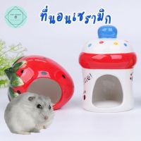 บ้านเซรามิกสัตว์เล็ก Ceramic Small Pet House บ้านหนู บ้านสัตว์ฟันแทะ บ้านเย็น