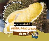 ทุเรียนหมอนทองแท้ ส่งตรงจากจันทบุรี ขนาด 5.5 กิโลกรัม จัดส่งฟรี มีรับประกัน เก็บเงินปลายทาง