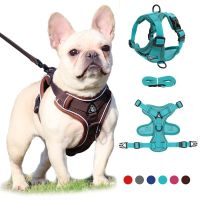 New Adjustable Towing Rope for Dog Cat Vest Style Pet Chest Strap Reflective Breathable Adjustable Pet Walking Cat Rope Dog Rope