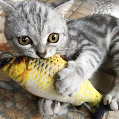 （HOT) แกว่งปลาแมวของเล่นแมวหมอนแมวตลกของเล่นแมวตั้งแต่ Hi ฟันกรามตุ๊กตาลูกแมวเล็กโต้ตอบ