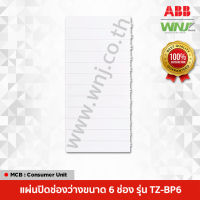 แผ่นปิดช่องว่างขนาด 6 ช่อง ที่ WNJ ยี่ห้อ ABB รุ่น TZ-BP6