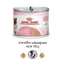 Royal Canin Mother &amp; Babycat อาหารเปียกกระป๋อง สำหรับแม่และลูกแมว ขนาด 195 กรัม