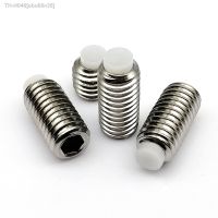 M3 M4 M5 M6 M8 M10 304 Stainless Steel Allen Head Hex Hexagon Socket Plastic Nylon Dog Convex End Point Tip Grub Bolt Set Screw