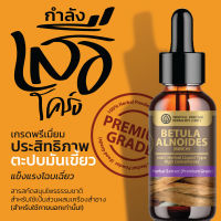 สารสกัดสมุนไพรธรรมชาติ กำลังเสือโคร่ง (Betula alnoides) เข้มข้น ชนิดน้ำ (ดู่ทุ่ง เรียกพี่) ขนาด 25 มล.