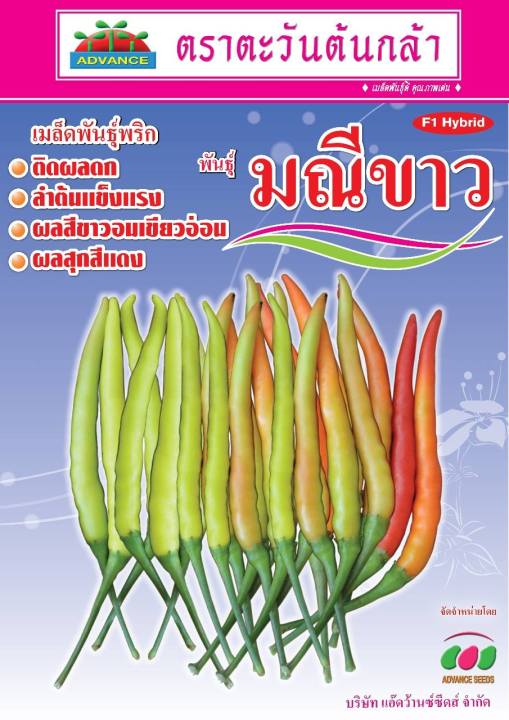 เมล็ดพันธุ์พริกมณีขาว-ตะวันต้นกล้า-ขนาด-20-กรัม