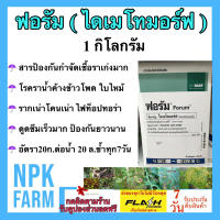 ฟอรัม 1 กิโลกรัม ไดเมโทมอร์ฟ สารกำจัดเชื้อรา ราน้ำค้าง รากเน่าโคนเน่า ใบจุด ใบไหม้ ดูดซึมเร็ว ป้องกันยาวนาน ในข้าวโพด แตงกวา ผัก ผลไม้