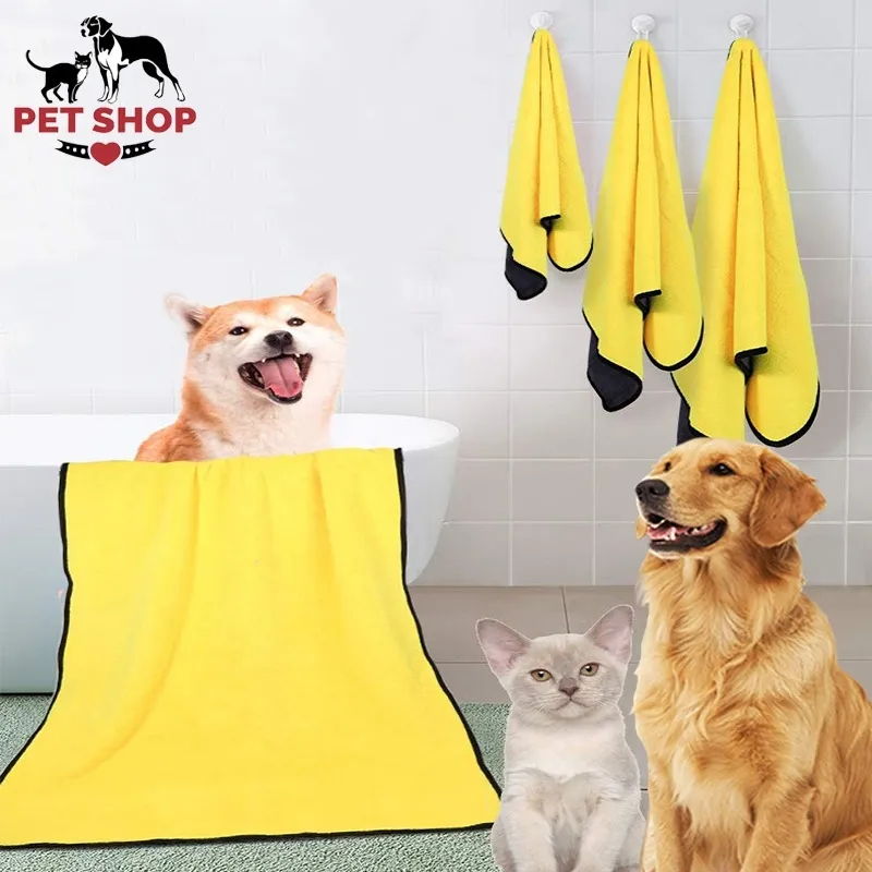 Do Dogs Like Hot Baths