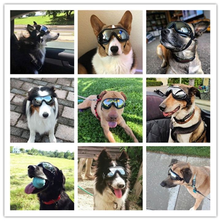 xmas-พร้อมส่ง-แว่นตาสัตว์เลี้ยง-แว่นตาสุนัข-แว่นตาหมาแฟชั่นสุดเท่ห์-แว่นกันแดดหมา-ทนต่อรังสียูวีและกันน้ํา