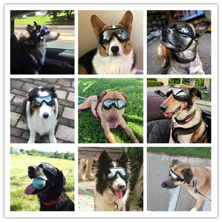 yohei-แว่นตาสุนัข-แว่นตาหมาแฟชั่นสุดเท่ห์-แว่นตาสัตว์เลี้ยง-ป้องกันรังสียูวี-แว่นตากันแดด-เหมาะสําหรับสัตว์เลี้ยงสุนัข