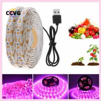 CCVG สำหรับเรือนกระจก Hydroponic USB DC5V ดอกไม้ปลูกพืชหลอดไฟ LED แสง LED สำหรับปลูกพืชแถบเต็มสเปกตรัม